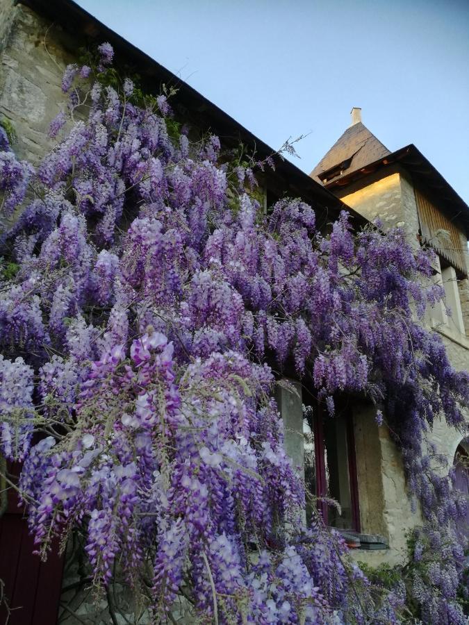Chateau St.Gaultier Saint-Gaultier Exterior foto